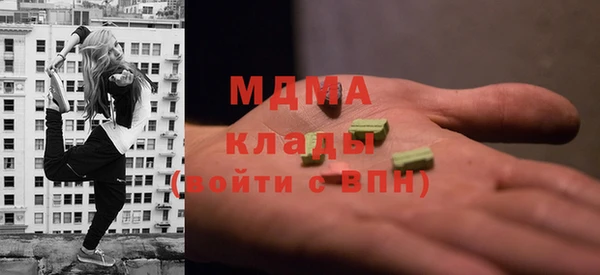 индика Абаза