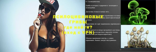 индика Абинск