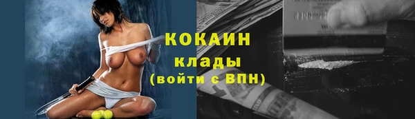 индика Абинск
