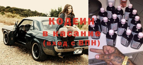 индика Абаза