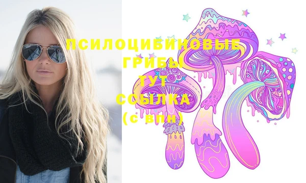 индика Абаза