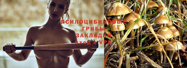 индика Абинск