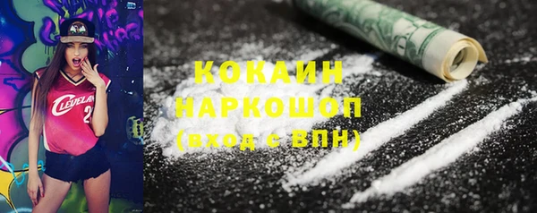 индика Абинск