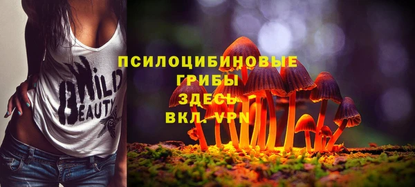 дмт Алексеевка