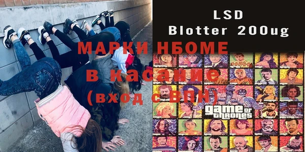индика Абаза