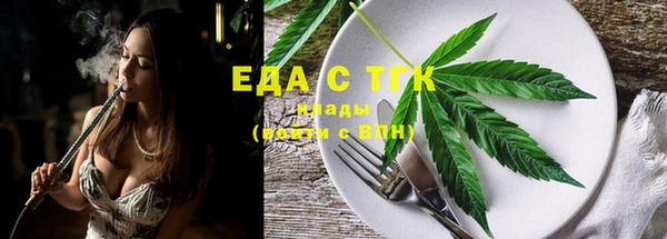 индика Абаза