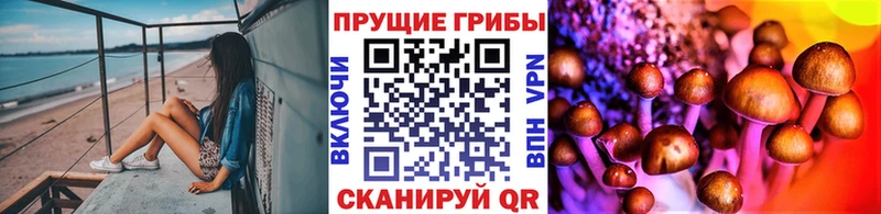 Псилоцибиновые грибы Psilocybe  наркота  Циолковский 