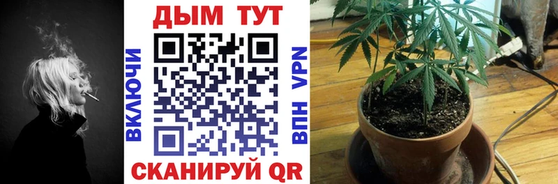 Шишки марихуана Bruce Banner  купить   Циолковский 